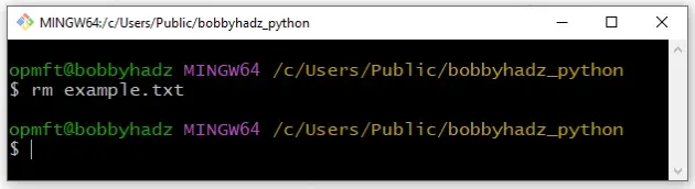 在 git bash 中使用 rm 命令