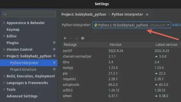 pycharm 选择正确的解释器