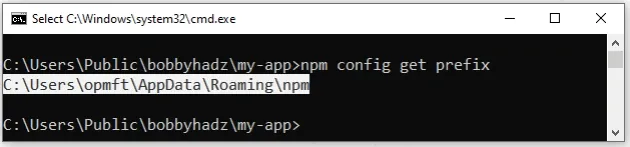 npm 配置获取前缀