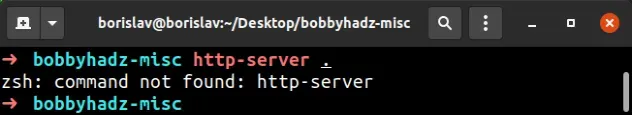 命令未找到 http 服务器