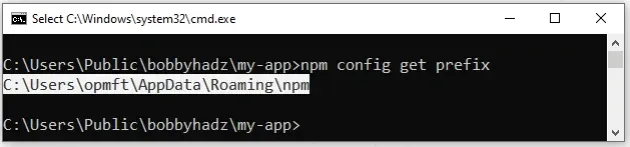 npm 配置获取前缀