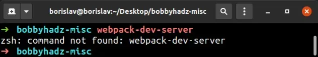 未找到命令 webpack 开发服务器
