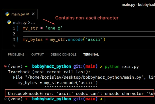 字符串包含非 ascii 字符