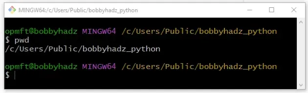 在 git bash 中使用 pwd 命令