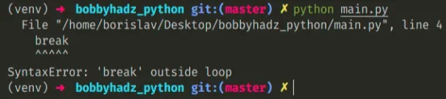 syntaxerror break outside 循环